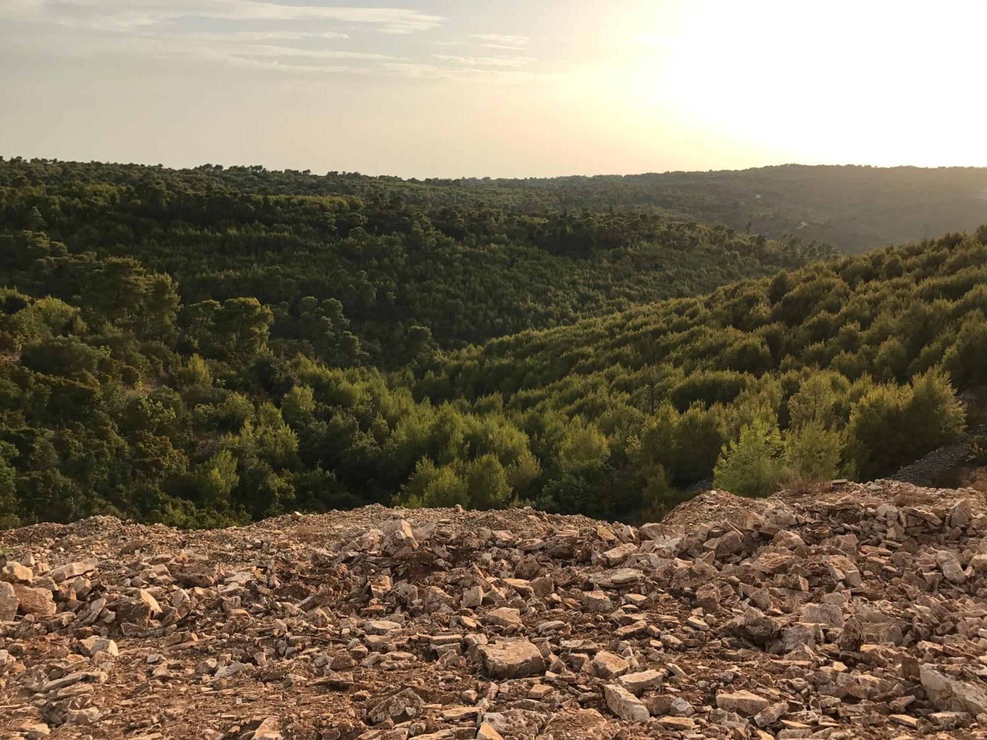 Sol Melba Boutique Studios - Maslinica Εξωτερικό φωτογραφία