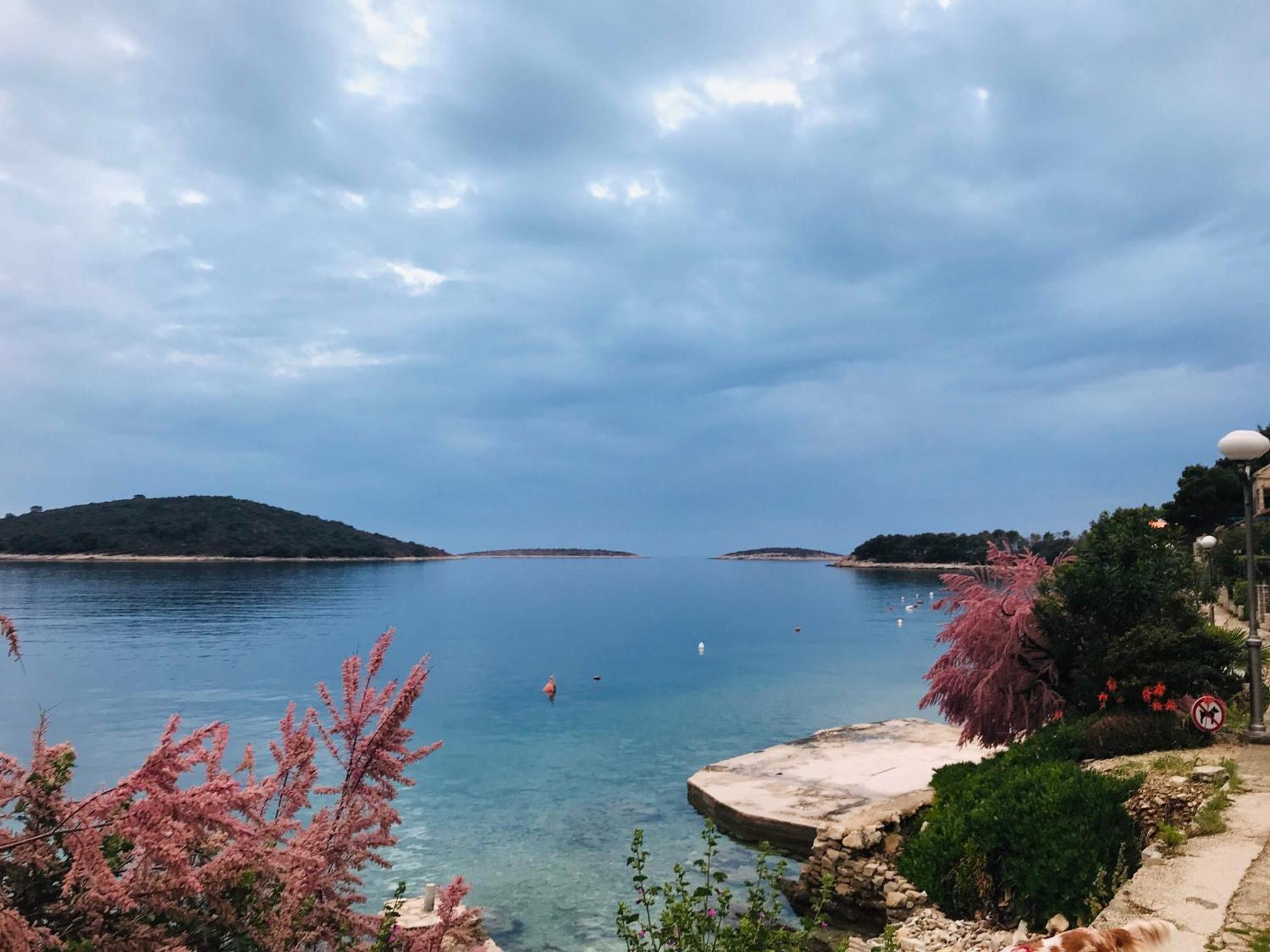 Sol Melba Boutique Studios - Maslinica Εξωτερικό φωτογραφία
